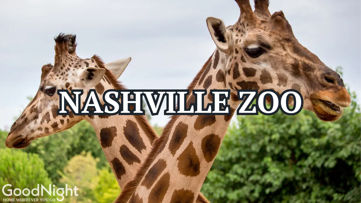 This vibrant image features the heads and long necks of giraffes set against a lush, green backdrop, capturing a moment of close wildlife observation. The joyful scene is perfect for families and children eager for adventure.