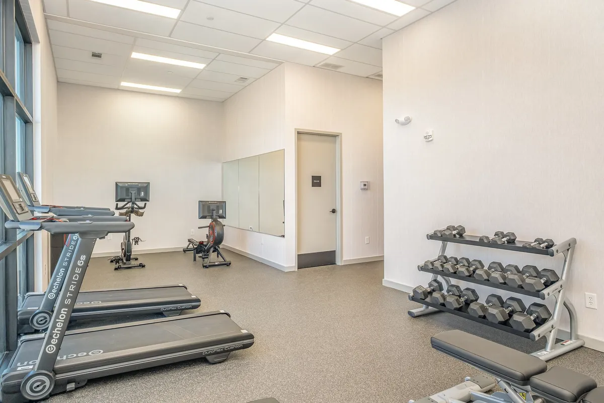 A modern, well-equipped fitness center featuring several treadmills, free weights, an exercise bike, and a mirrored wall, all bathed in natural light from large windows. The space is energetic and motivating, ideal for both solo workouts and group fitness activities.